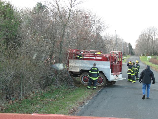 Cutchogue cutting through the hedgerow on Leslie's Road